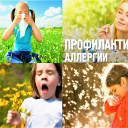 8 июля — Всемирный день по борьбе с аллергией